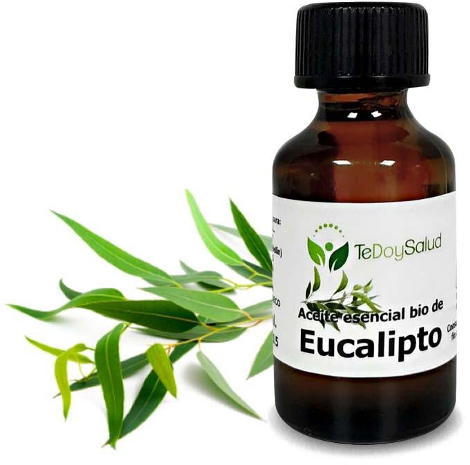 Aceite Esencial Eucalipto Bio